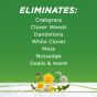 20% Vinegar Weed & Grass Killer - 1 Gallon