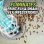Fruit Fly Killer - Drain Fly Treatment - 32oz