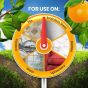 Cold Pressed Orange Oil - 32oz