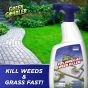 20% Vinegar Weed & Grass Killer - 32oz
