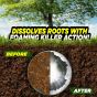 Foaming Root Killer - 10lb