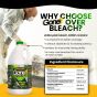 GONE! Mildew Mold Algae Stain Remover 32oz - 2 pack