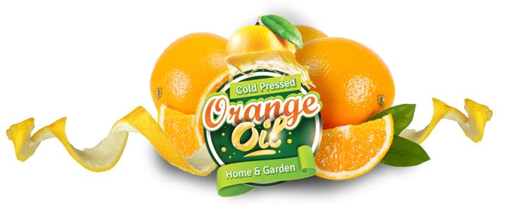 orange oil logo