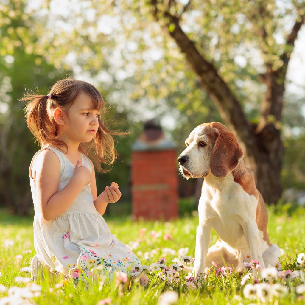 are treated lawns dangerous to dogs