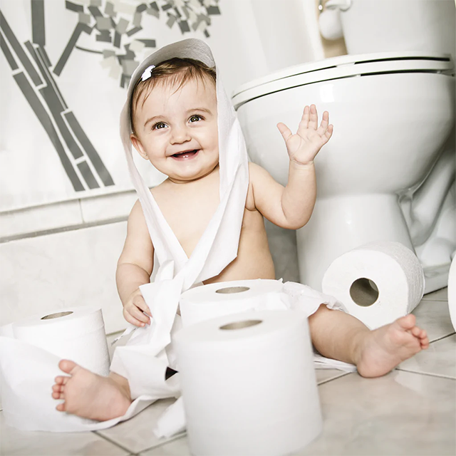 What to Do When You Run Out of Toilet Paper - What Can You Flush?