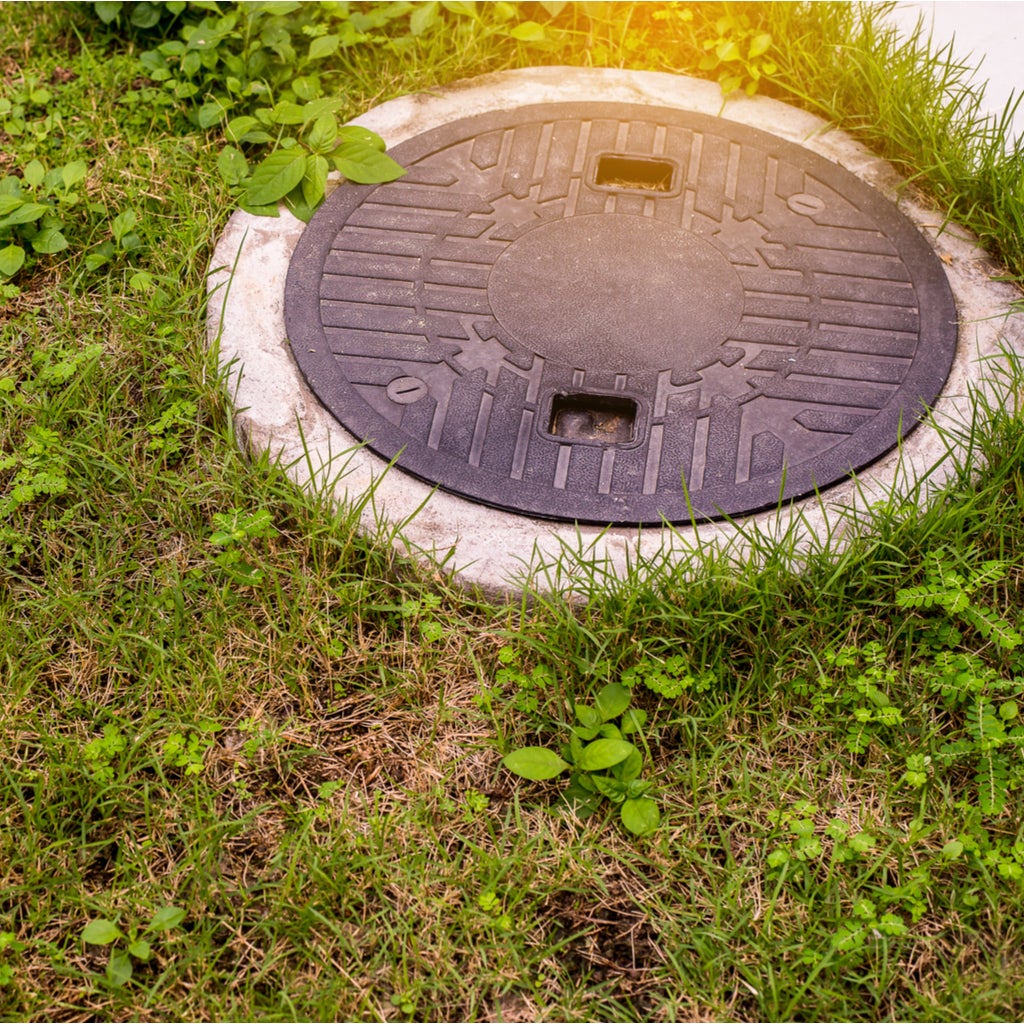 Will Too Much Toilet Paper Harm My Septic Tank?